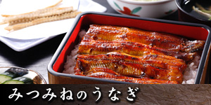 みつみねのうなぎ