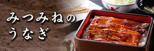 みつみねのうなぎ